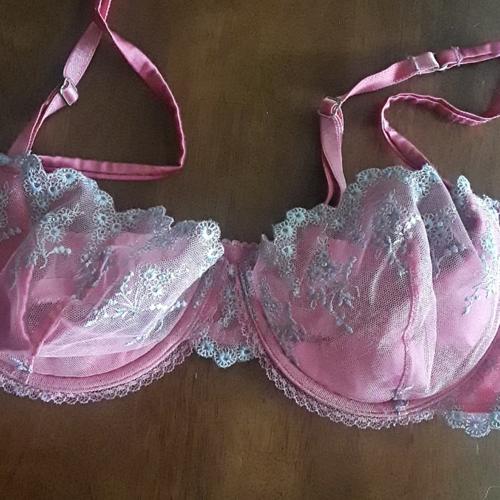 🌺Victoria's Secret Dream Angels Embroidery Bra